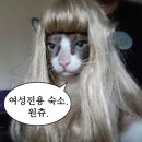 까미하우스 네이버블로그