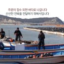 예향유통