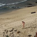 Gray Whale Cove State Beach in California 이미지