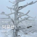 무주 덕유산 케이블카 곤도라 예약 cctv 눈꽃여행