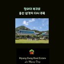 CJ나인파크공인중개사사무소 | 청와대 복귀로 용산 삼각지 다시 주목