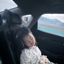 델피노 C동, 워터플레이, 외옹치항(청용횟집), 홍게 무한리필 게섯거라, 인제 산마을 식당(막국수/감자전)