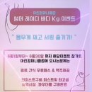 마린컴퍼니클럽 | 마린컴퍼니클럽 웨이크서핑 즐기기 찐후기