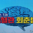 뇌혈관 회춘법/치매예방 손치기운동.랩볼운동/기치유센터 이미지