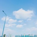 마스킹테이프 보고가세오(feat.dailylike) 이미지