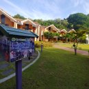 동해무릉건강숲 이미지