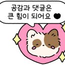 로사헤어 이미지