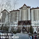그린피아 | 모나 용평리조트 그린피아 콘도객실후기(위치,식당,시설)