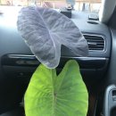 미래가든 이미지