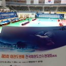 장평태권도 이미지