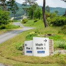 가평베네스트클럽 이미지