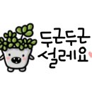 오쌤힐링스튜디오