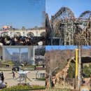 작은산대 | 에버랜드 주말 오픈런 방문 후기(툴립축제,로스트밸리 워킹사파리 웨이팅)