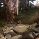 남이섬앤디펜션 이미지