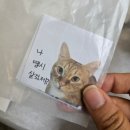 공원수퍼 | [일상] 우취가 무슨 말이야...!