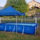 댕댕그라운드 이미지