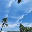 오송웨이브 이미지