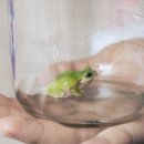 디오티미술관 이미지