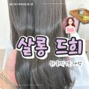 희헤어라인 | [ 울산 동구 ] 살롱드희 ; 복구 클리닉 전문 헤어샵 ! 상한 머리 원상복귀 체험기 💇‍♀️✨