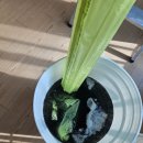 증가로 | 서울 서대문구 증가로150 아파트 LG 시스템에어컨 청소 후기 (비시즌 특가 진행중)