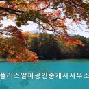 알파공인중개사사무소 이미지