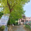 배대흥농장 이미지