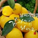 정훈공사 이미지