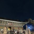 정법사 - 성북구 | 8. 정법사 쏜애플 콘서트 석류의 맛 후기