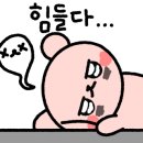 브래드하루