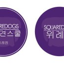 스퀘어독스 위례 이미지