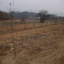 옥천농장 이미지