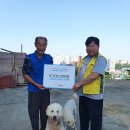 복순이네 이미지