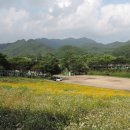 모둘자리 이미지