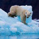 CW-2098-01 이미지