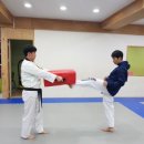 대도 세계로 태권도 이미지