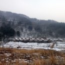 여행나무 - 중구 남대문로 117 | 여행나무