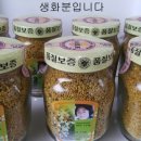 이진숙의 경북군위꿀