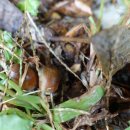 현산면 주민자치센터 이미지