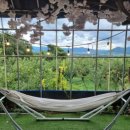 나나농장 이미지