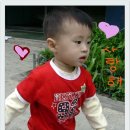 등서초등학교 이미지