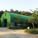 유한회사 여행이야기