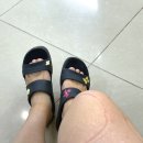 민정형외과의원 이미지