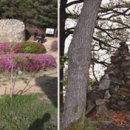 회덕2세천 이미지