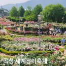 산업고 정문(데크길) | 곡성 세계장미축제 섬진강 기차마을 2026년 축제 다녀온 후기