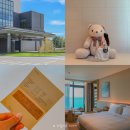 구로-구로-구로-2230 | 강릉 신라모노그램 호텔 수영장 오션뷰 객실 후기