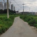 황무로 4 이미지