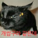 국보성 - 강동구 명일로13길 15 | 국보성