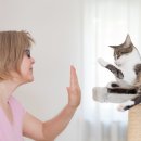 (주)스탠다드메디칼 이미지