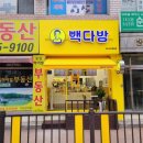 빽다방 하남신장동일점 오픈💛🩵