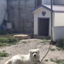 영태5리 경로당 이미지